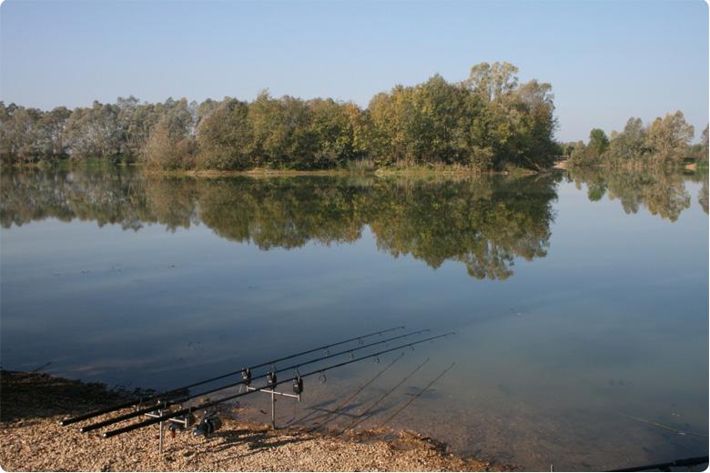 fish :) - carp-fishing-guide.jpg